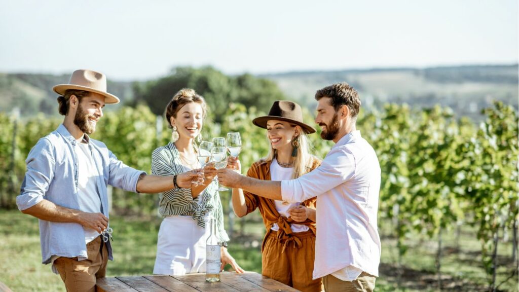 VISITE DE VIGNOBLE