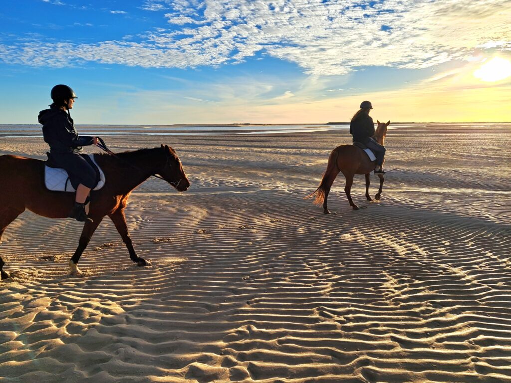 Ballade à Cheval sur la Ria Formosa